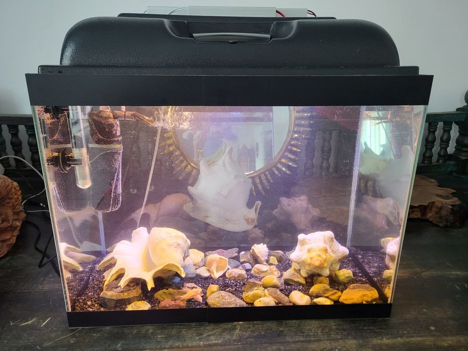 Аквариум с рыбками