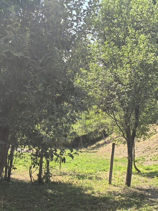 Урегулиран парцел 1300 кв. м в Тетевенския Балкан за продан