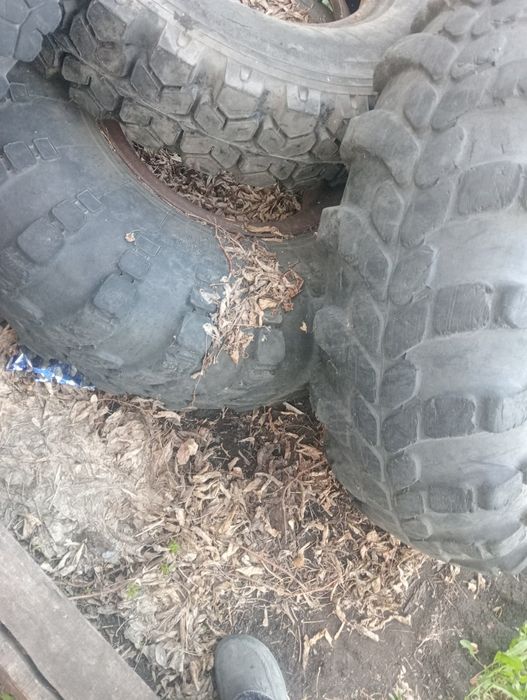 Шин 340 457  газ