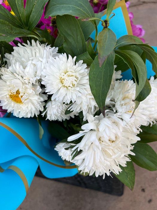 Продам многолетние цветы