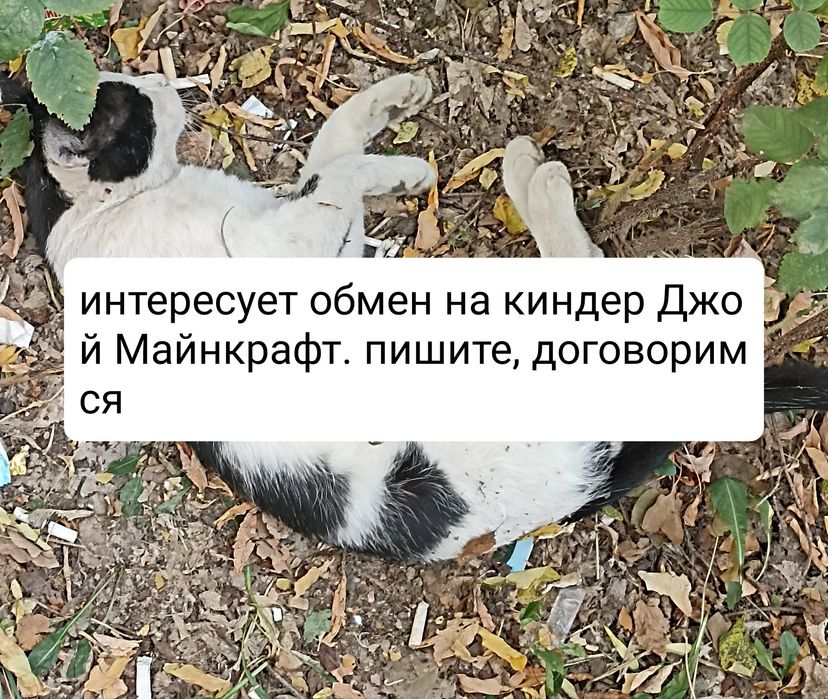 Фигурки киндер разные
