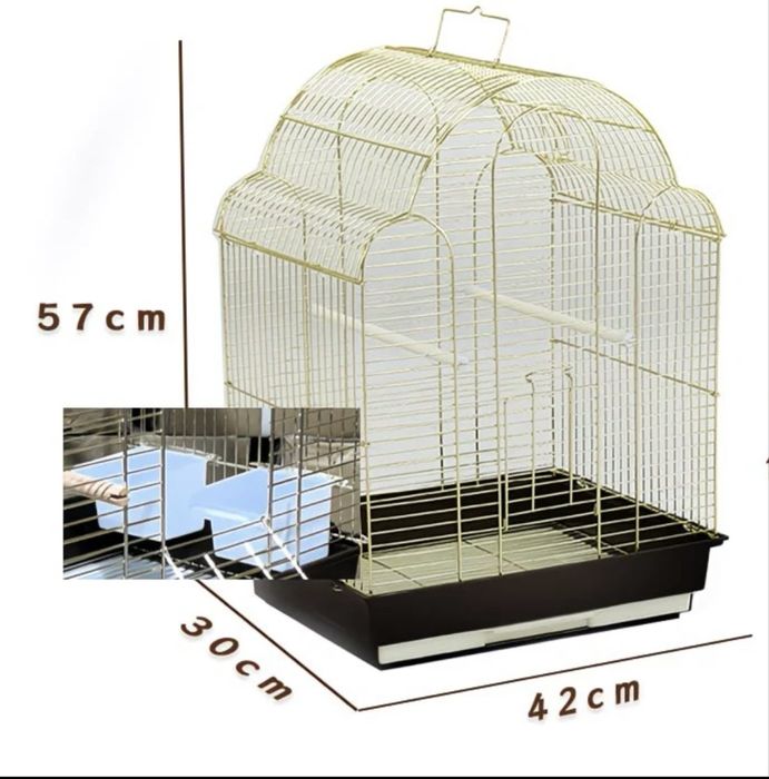 Продам пару попугаев неразлучников с клеткой