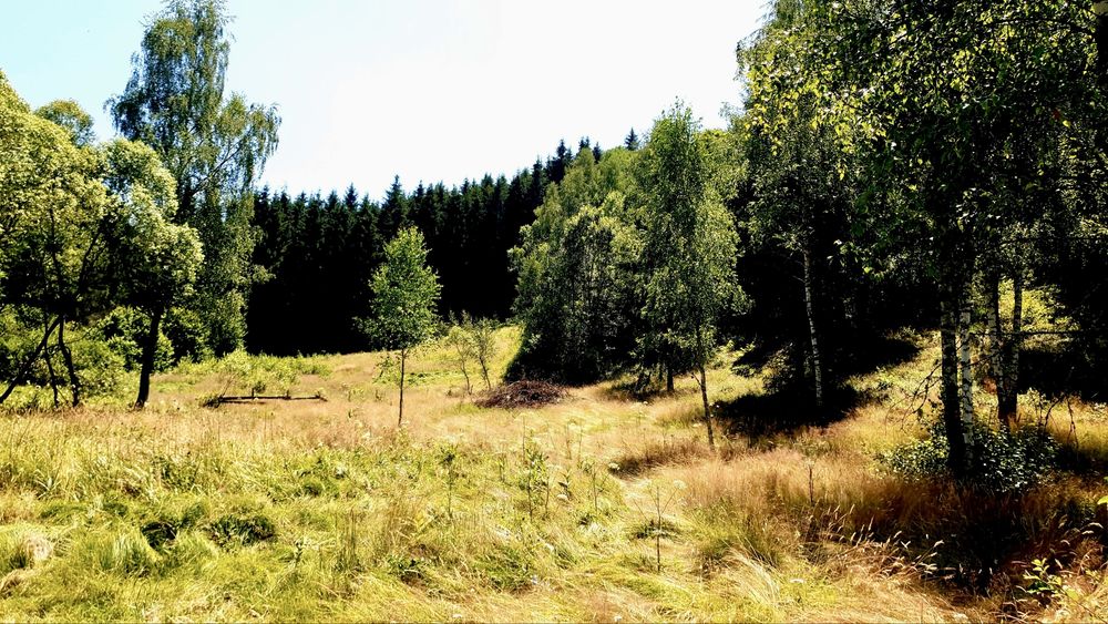 Persoana fizica vand teren intravilan in Rasca, locatie superba