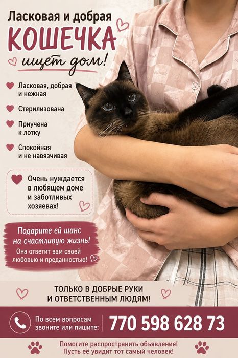 В добрые руки кошечка