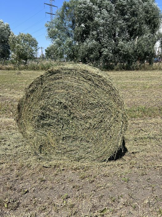 Vând baloți de lucernă cu frunză, fân și paie – Calitate superioară