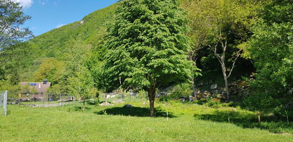 Teren Râul Mare - Retezat