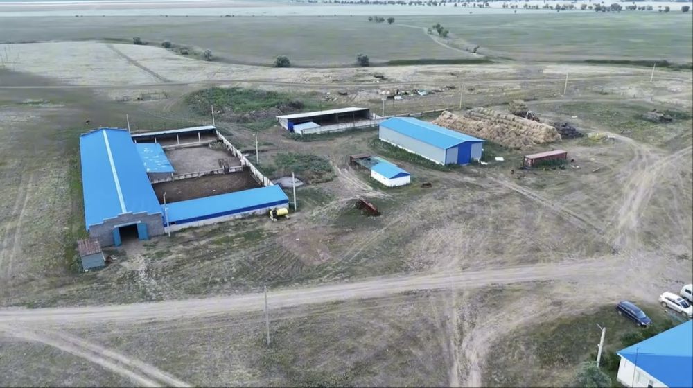 Крестьянское хозяйство