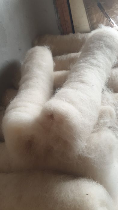 Lana spalata si facuta caier
