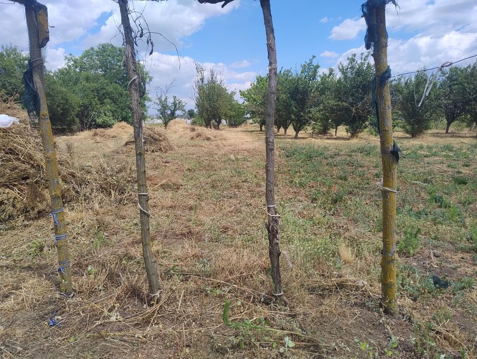 Продавам къща с дворно място в с. Дъбовик