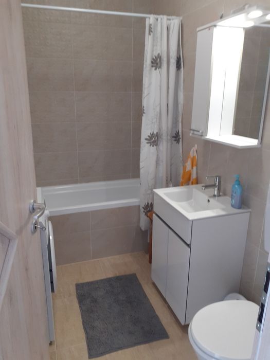 Apartament de inchiriat,zona Turnisor.