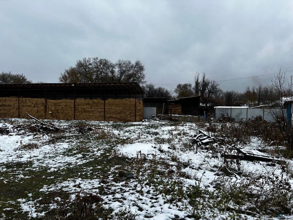 Продам 2 дома 38сотых