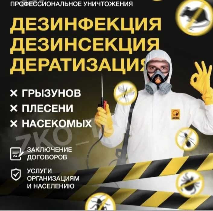 Дезинфекция от 6000 тг