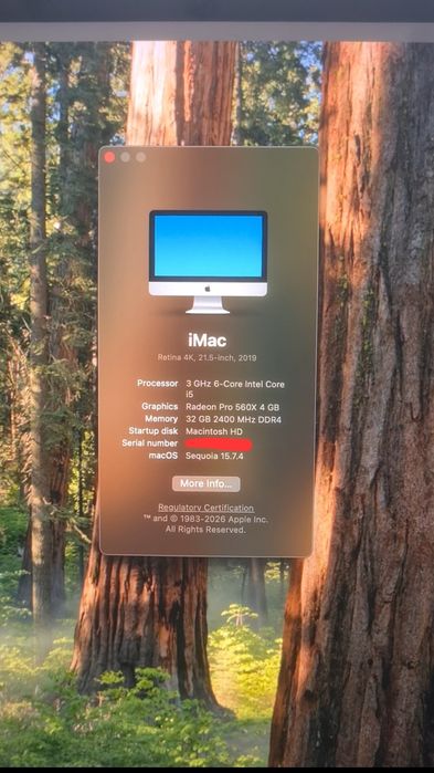 iMac 21.5" 4K (2019) – Intel i5, SSD, 32GB RAM – stare foarte bună