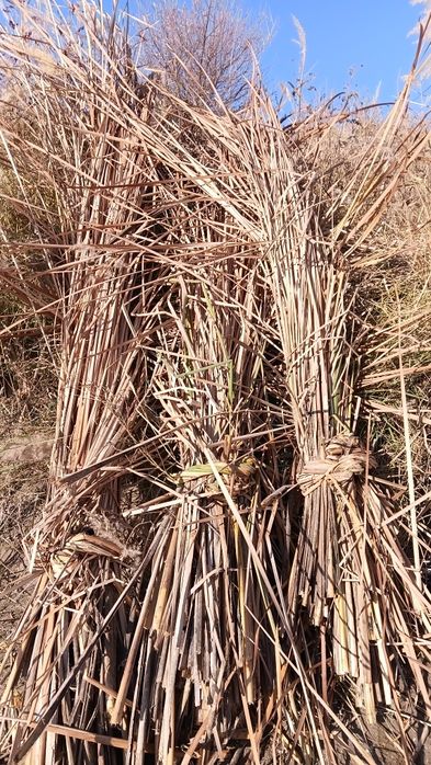 ЕКАН сотилади.упулдириксиз