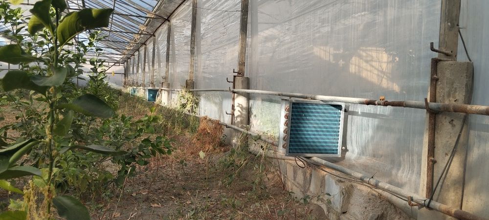 13sotixli (Teplitsa) Issiqxona sotiladi