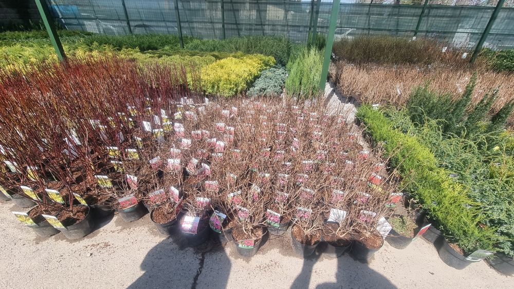 Ландшафтный дизайн