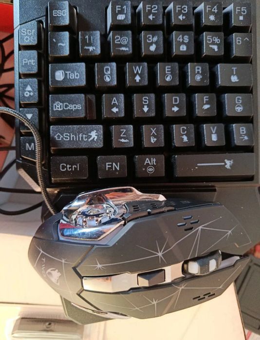 Klavetura va sichqoncha