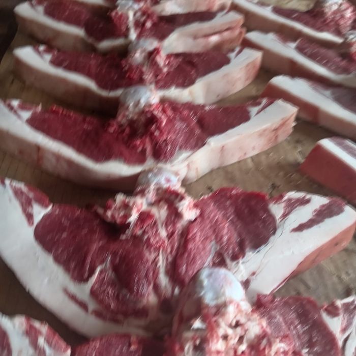 Продам мясо конина