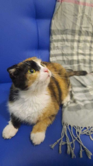 Счастье заказывали? А вот и оно