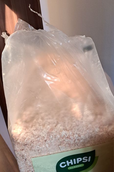 Așternut igienic pentru rozătoare, 20 kg