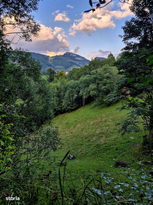 Teren investitie 8635 mp extravilan , Pestera Brasov