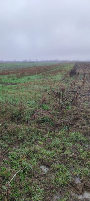 Vand teren in zona Ștefănești / Dobrusa la  drumul principal  3500mp