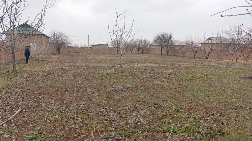 Yer uchastka 15 sotix bor sotixi 10 miliondan kelishiladi