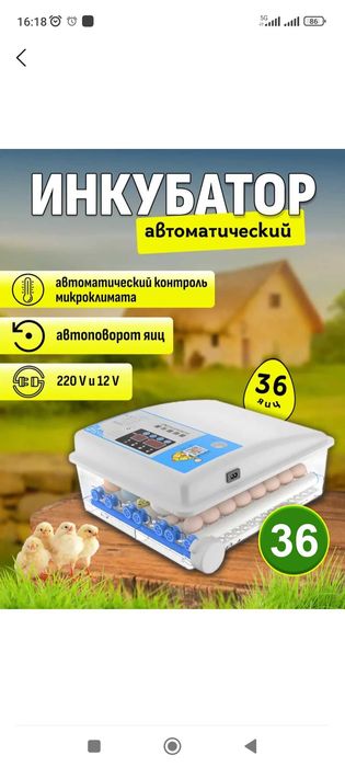 Инкубатор - полуавтомат