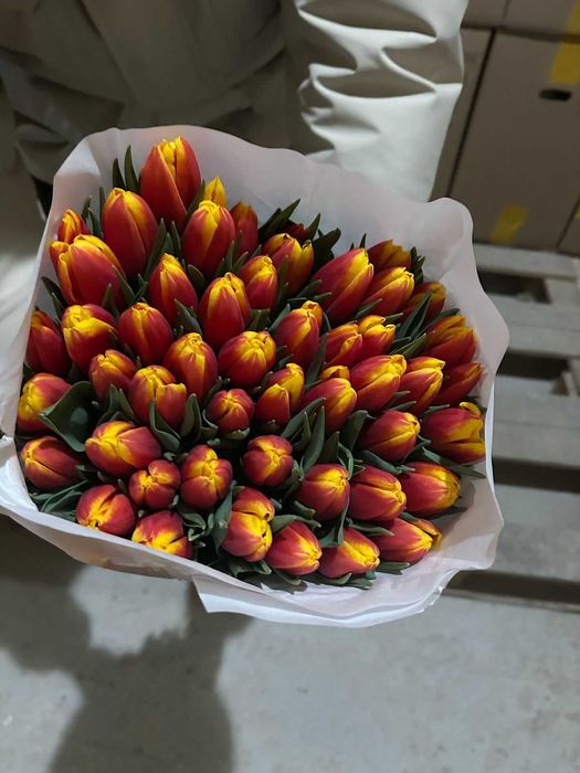 Тюльпаны оптом Костанай