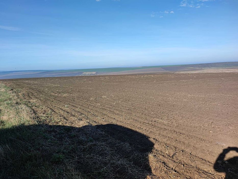 Rediu Horlesti 7840 mp des Soseaua  DJ 248b Vand-Inchiriez parcelabil