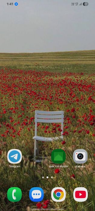 Samsung S21 ultra ideal