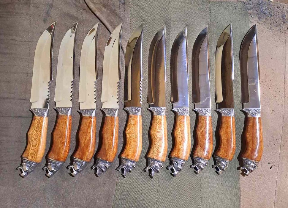 Pichoqlar axotichniy