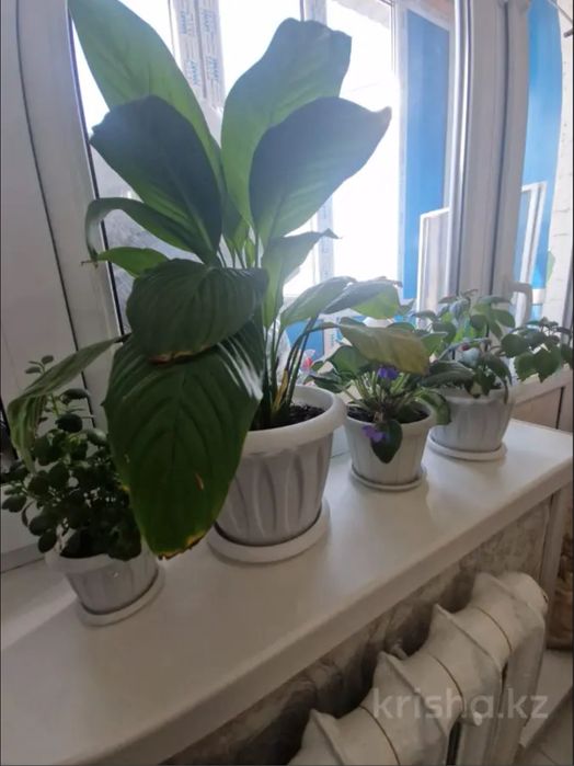 Продам 2-х ком кв или обменяю