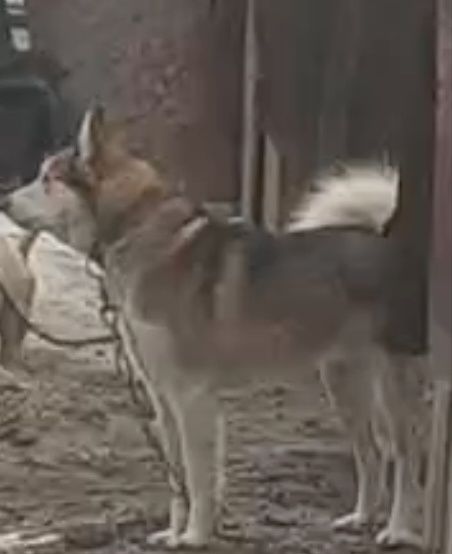 Продам Продам Продам