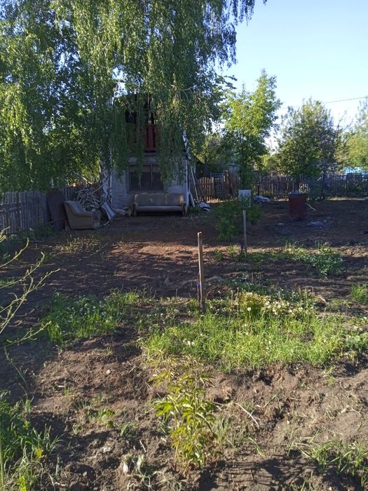Дача сад Северный