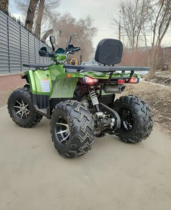Квадроцикл Tao Motor Linko 250см³