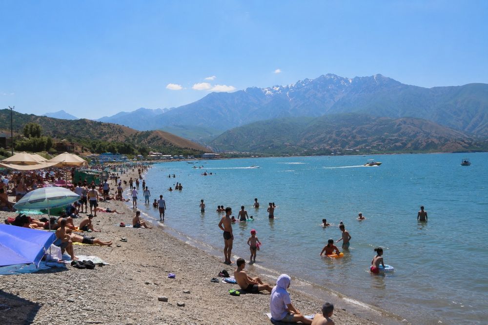 Tourist transfers BYD champion Чарвак,Бочка,Амирсай,Бурчмулла и т.д