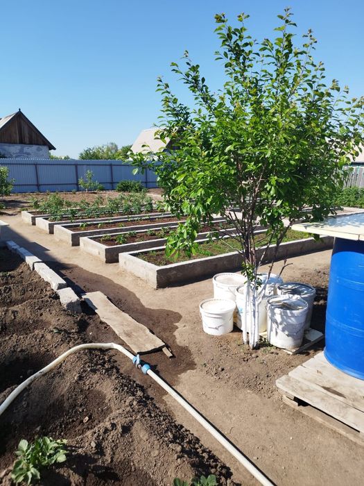 Продам ухоженую дачу на Федоровке