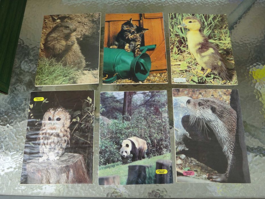 Списания "PIF" и "PIFOU"