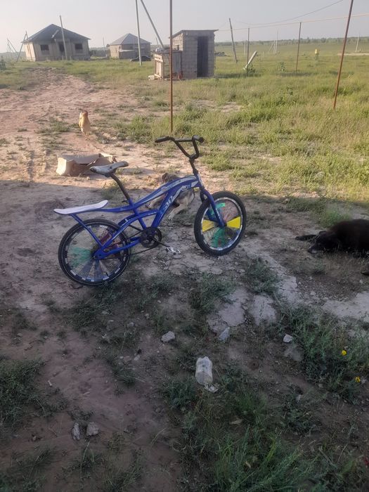 Салады беласебет
