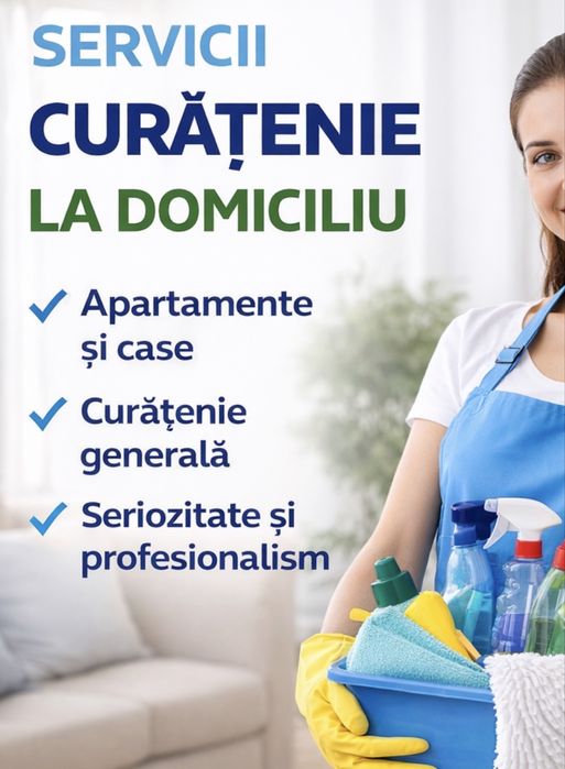 Curatenie profesionala la domiciliu