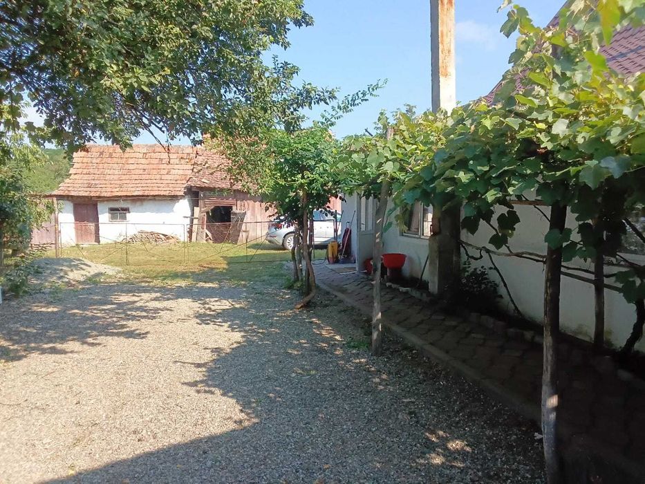 Casa de vanzare cu curte,gradina 2500mp