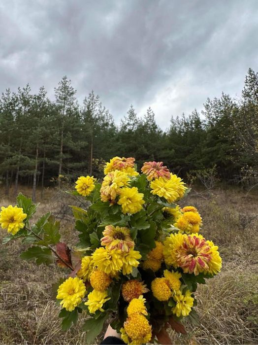 Продава се Парцел в с. Желява, Област София-град - 521 кв.м за 58 €/кв.м - Снимка #4