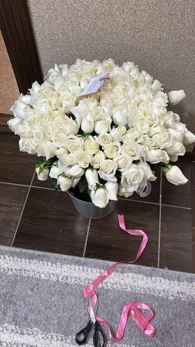 белый роза       .