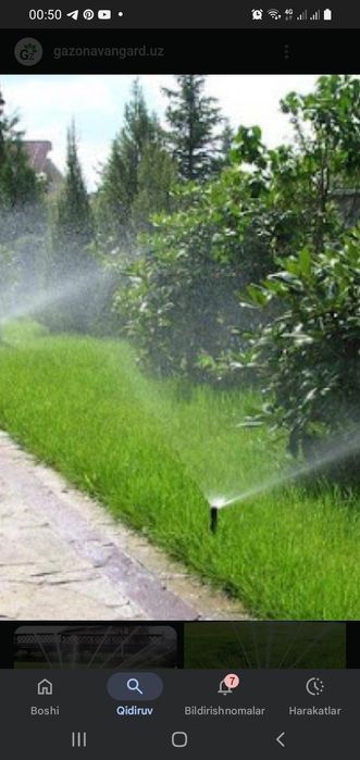 Gazonga suv sepadigan fantan nasatkalari  sotiladi.