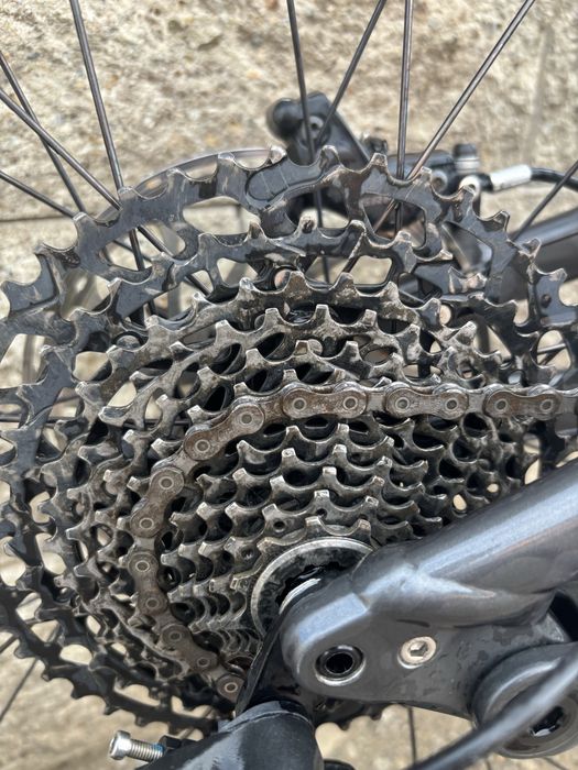 Specialized status