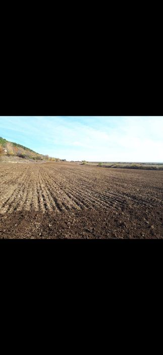 Продава се Земеделски имот в с. Тъжа, Област Стара Загора -  кв.м за 1785 €/дка - Снимка #3