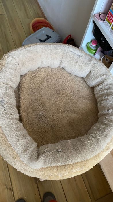 Ansamblu joacă imens pisici 5 nivele • Scratcher + culcușuri • Demontabil • Stare bună pe colt