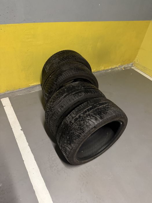 Michel Pilot Alpin зимни