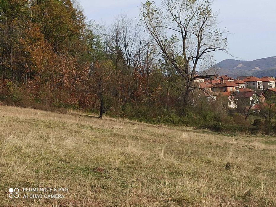 Продава се Парцел в Берковица - 1730 кв.м за 25 €/кв.м - Снимка #1